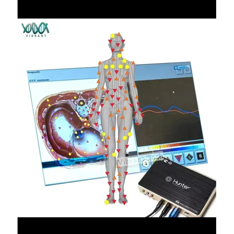 2025 جهاز تعقب Metatron 4025 Hunter Bio عالي الدقة X4 25d NLS مع آلة نبض Aura توصيل مجاني