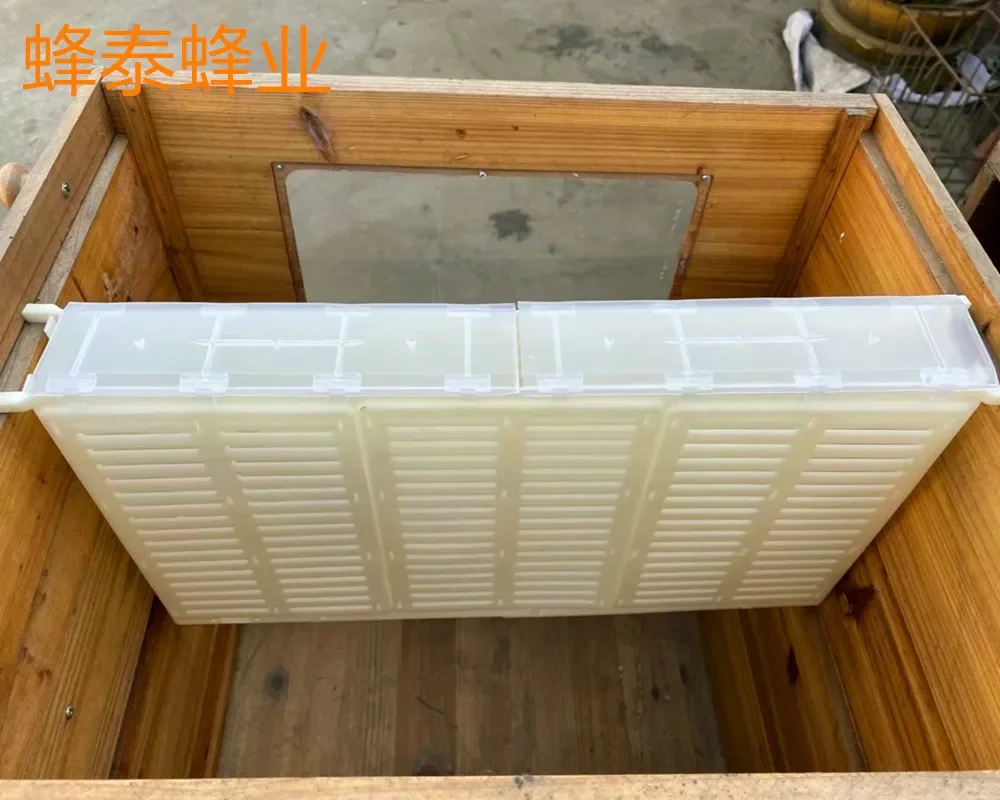 التحكم في Oviposition لملكة النحل الإيطالي لملكة النحل الصيني #2