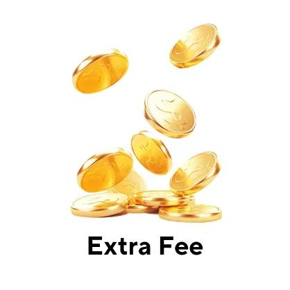 Supplement postage and price difference - AliExpress Standard Shipping