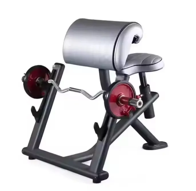 

Source Factory Professional Gym Equipment Bodybuilding Machine Arm Alternate Curl Machine
