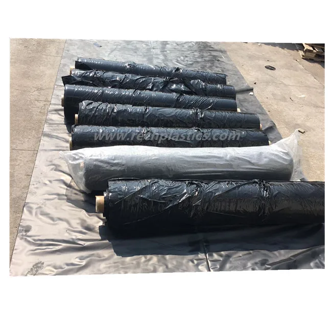 2025년 농업용 비닐 PE 천공 멀칭 필름