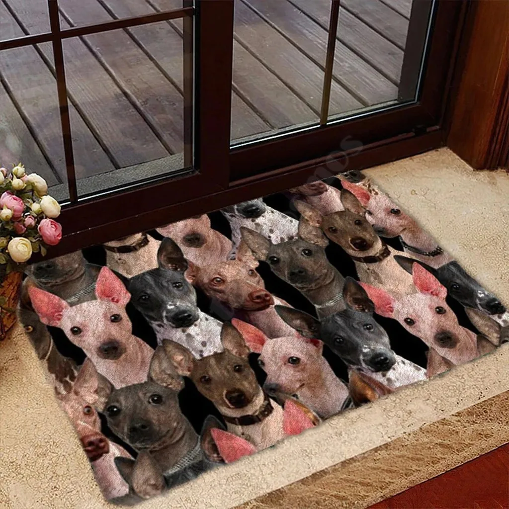 American Hairless Terriers/Australian Cattles/Beagles/Bearded Collies Doormat 3D Printed Indoor Outdoor Doormat Non-slip Style-3