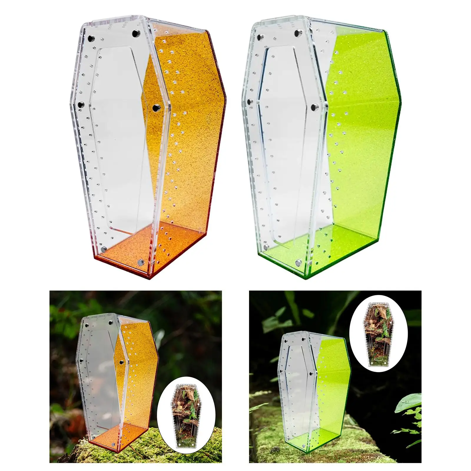 

Small Vertical Spider Cage Acrylic Tarantula Enclosure Breeding Terrarium for Reptile and Amphibians