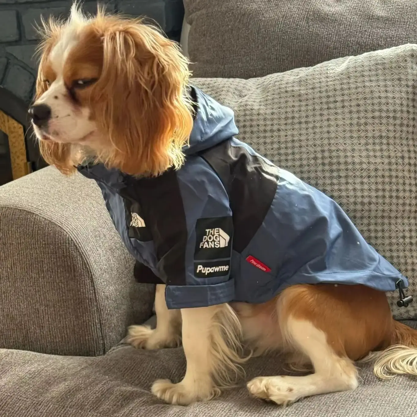 Windproof Rainproof Dog Coat American Denim Blue Trendy Pet Jacket for Large Breeds Windproof Pet Clothes Dog Accessories