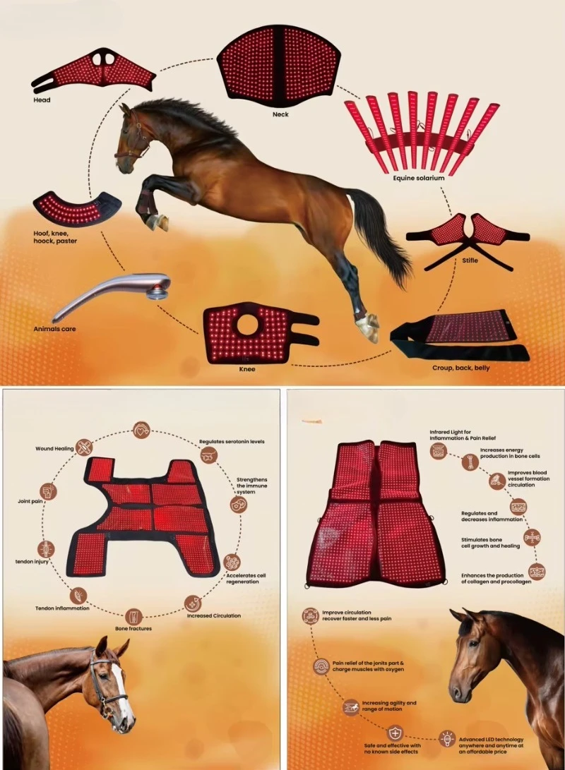 Reitsport-Rotlichttherapie-Pad, Pferdeppich, Pferd, rotes Licht, Infrarot-Lichttherapie-Decke für den Rücken