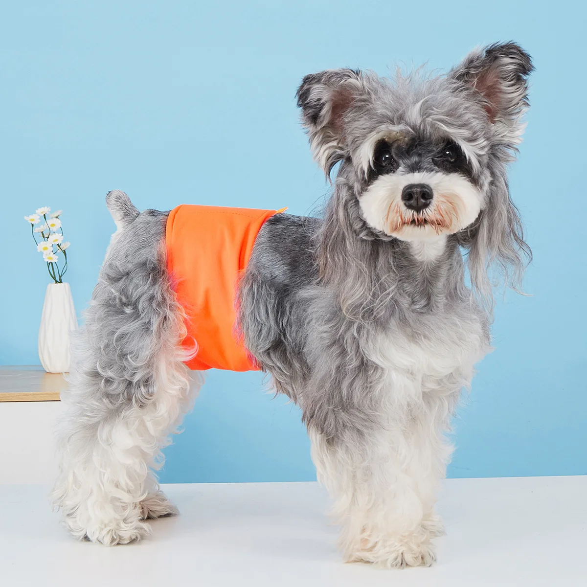 

Дышащие физиологические трусы для собак Sunorchid: моющиеся, непромокаемые, с высокой впитываемостью, комфортные подгузники для кобелей