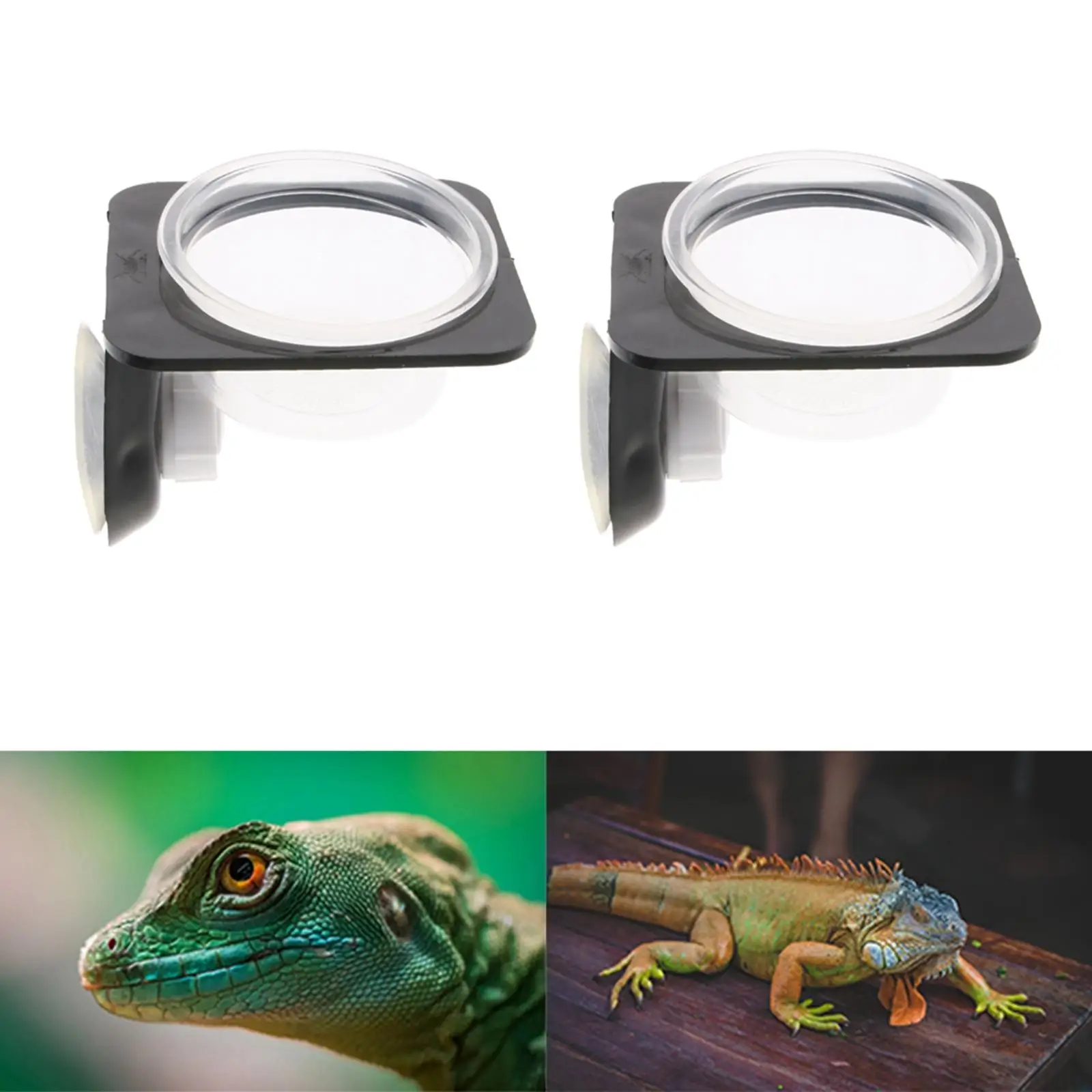 2pcs Amphibians Chameleon Feeding Suction Cup Ledge Bowls