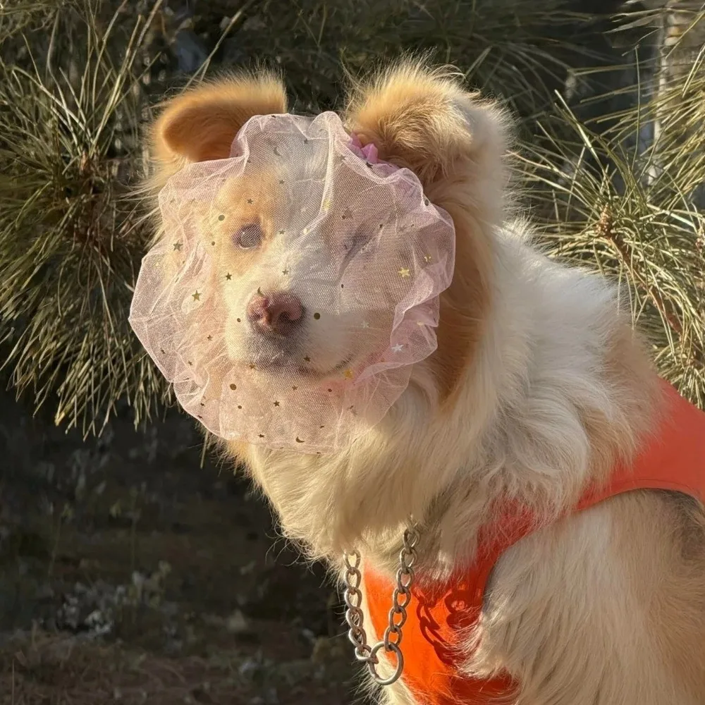 Breathable Dog Anti-Eating Veil Comfort Adjustable Pet Protective Mask Polyester Elastic Dog Mouth Guard Outdoor Pet Supplies