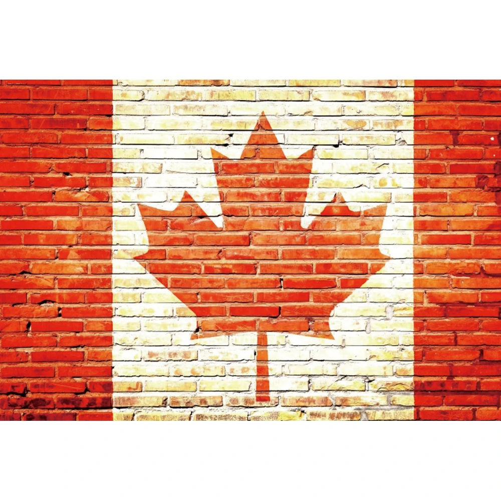 YeelsWhite-Arrière-Plan de Photographie Murale en Briques Vinyle, Jouet pour Animaux de Compagnie, Studio Photo, Baby Shower, Nouveau-Né, Enfant