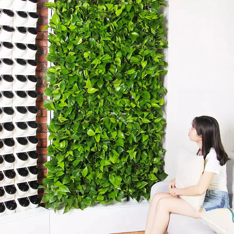 Hydroponic Growing System 2 square Meter Plant Wall Used for Indoor Planting