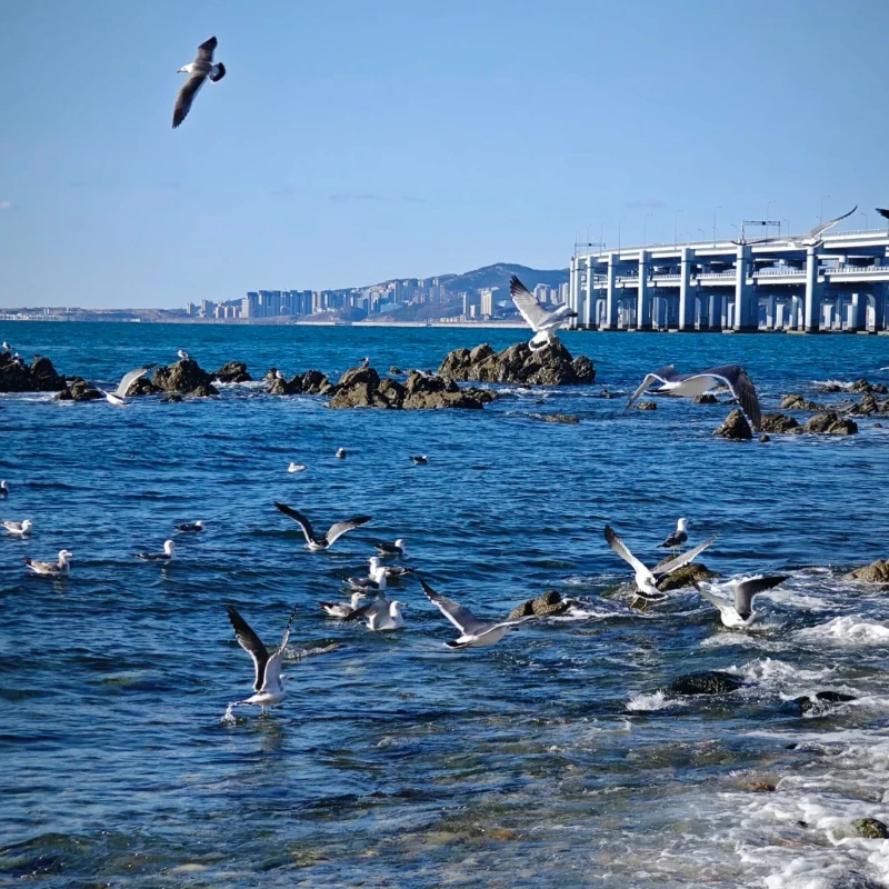 

JX Servo PDI-6215MG 15.32kg High Precision Metal Gear Digital Standard For 1/8 1/10 RC Car Boat Robot Airplane Helicopter