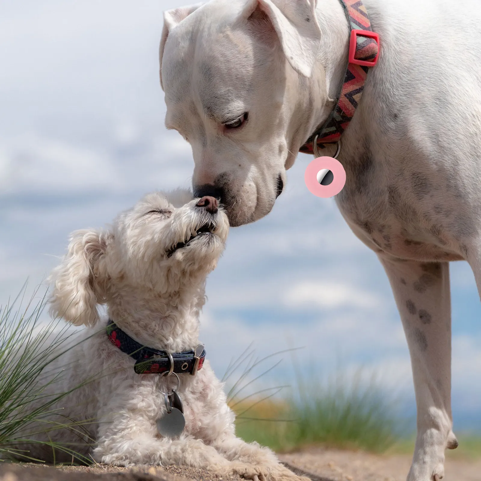 

Silicone Protective Case Soft Lightweight Pet Locator Cover Easy Install Remove Compatible Cat Dog Collar Anti-Lost Tracer