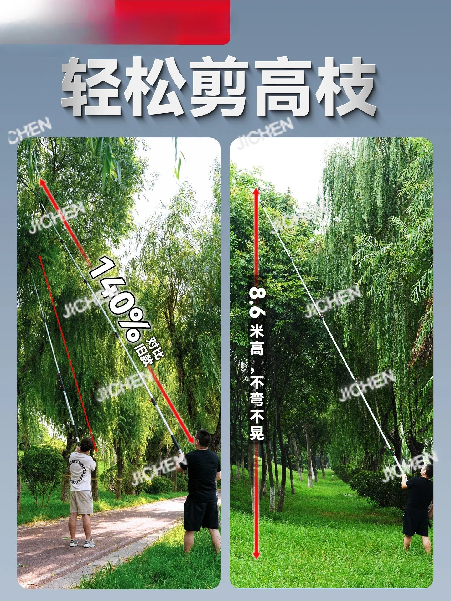 Hx High Branch Shea…