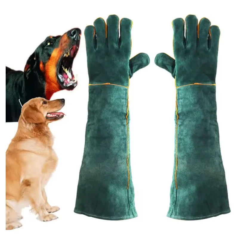 #35 Latest Pet Agility Equipment Offers