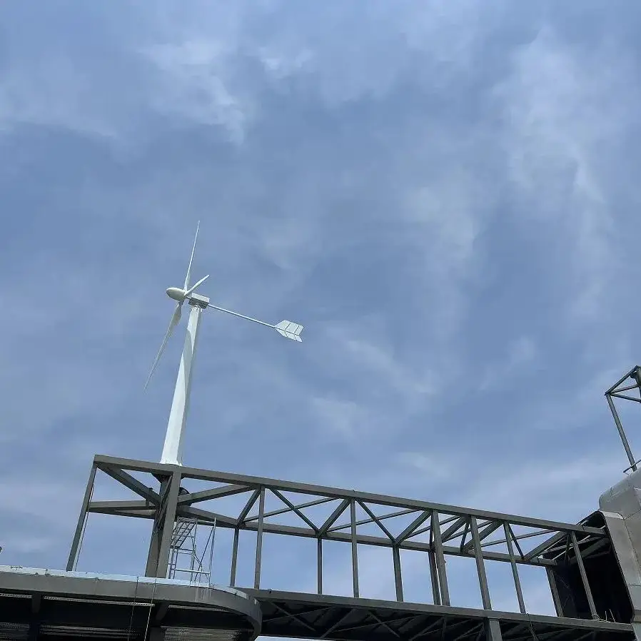 

FLYT 3KW Wind Turbine Low RPM Horizontal Wind Generator 3000W 48V 96V 220V Windmill for Home and Wind Energy Engineering