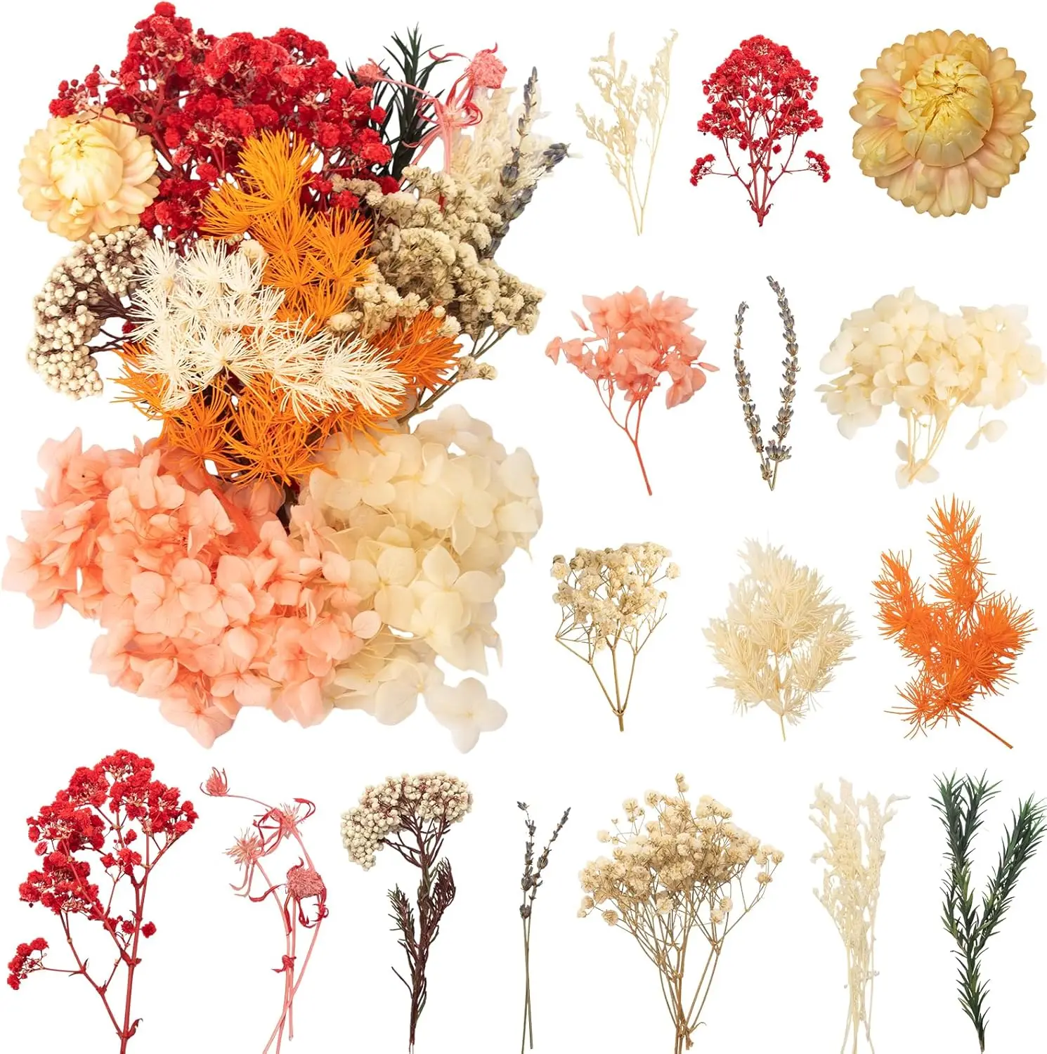 

Natural Dried Flowers Set for Art DIY Resin Scrapbooking Crafts Handmade Cards Making DIY Craft Supplies