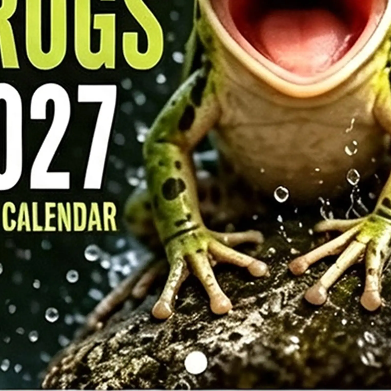Wall Calendar 2027 12 Month Hangable Paper Frog Organizer Whole-Year Wall Frog Planner For Home Office School Reading Study Task