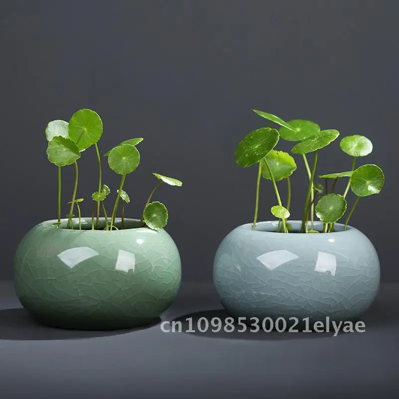 

Copper coins, grass vases, desktop flower ornaments, hydroponic small flower pots, ceramic flower pots, potted plants
