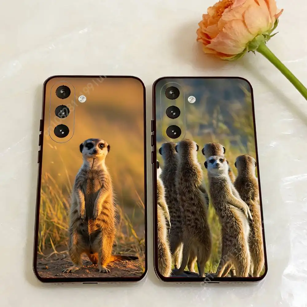 Funny Standing Meerkats Phone Case for Samsung Galaxy A73 72 71 70 A32 31 30 S 5G 4G A13 A12 TPU Cover