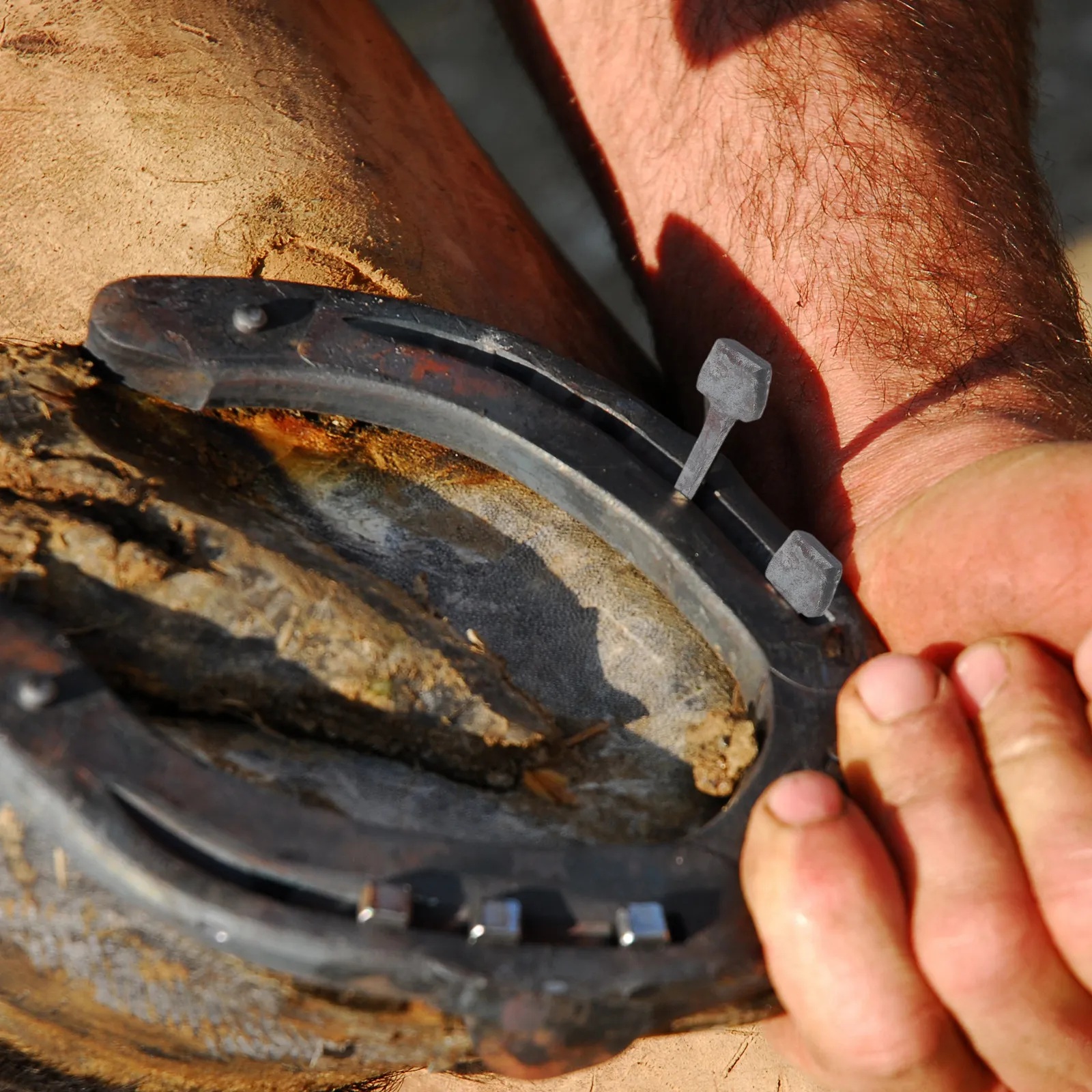 

20 шт. подковных гвоздей для лошадиных копыт, металлические инструменты с угловым дизайном для точной установки, надежного крепления и обслуживания подков