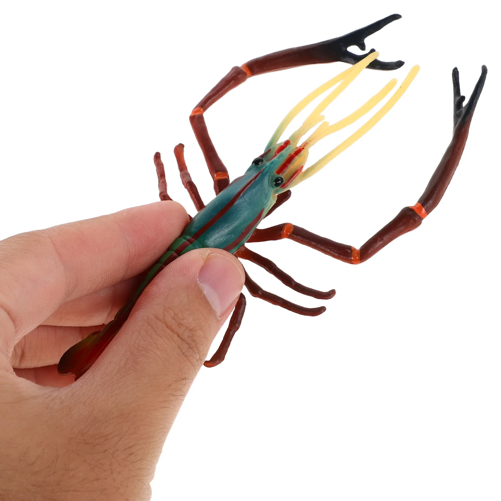 

Lifelike Lobster Sculpture 4 Pieces Fake Seafood Models for Creative Role Play Beach Theme Decor Educational Activity Tools