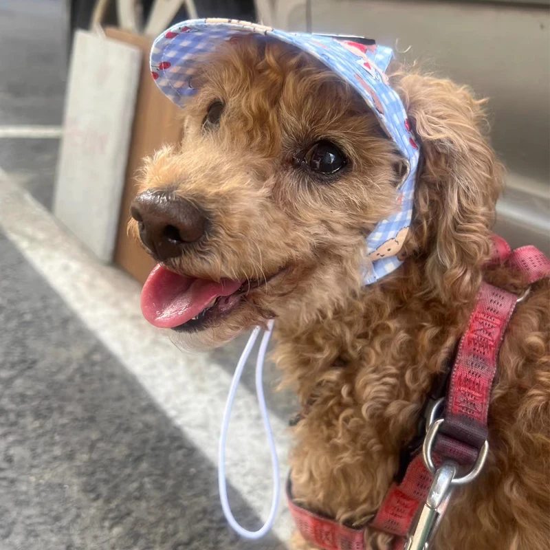 

Summer Sunscreen Small Dog Hat Ins Style Cute Outdoor Ear Holes Adjustable Cap for Teddy Yorkshire Kawaii Hat for Bichon Frise