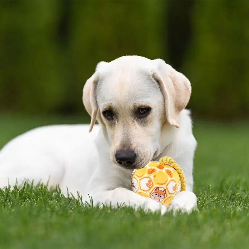 Doggy Disc Ball For Large Dogs Outdoor Dog Toys Elastic Dog Toy Ball Colorful Gentle Cotton Rope Giggle Ball For Large Dogs Home