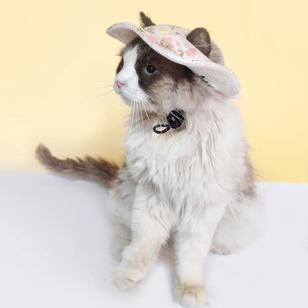 Fashion Cartoon Dog Fisherman Hat Adjustable Breathable Cat Sunscreen Hat with Ear Holes Sun Protection Dog Sunshade Hats Summer