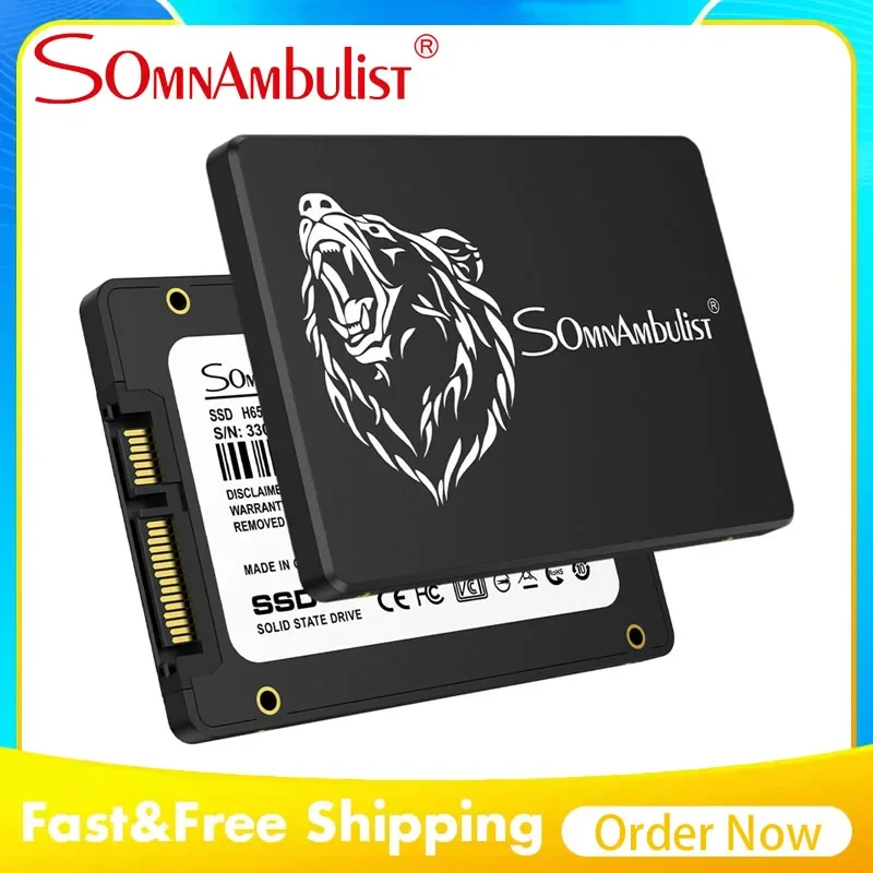 

SomnAmbulist 2.5 Inch SATA3.0 SSD 256GB Wholesale Solid State Drive for Desktop & Notebook Computer