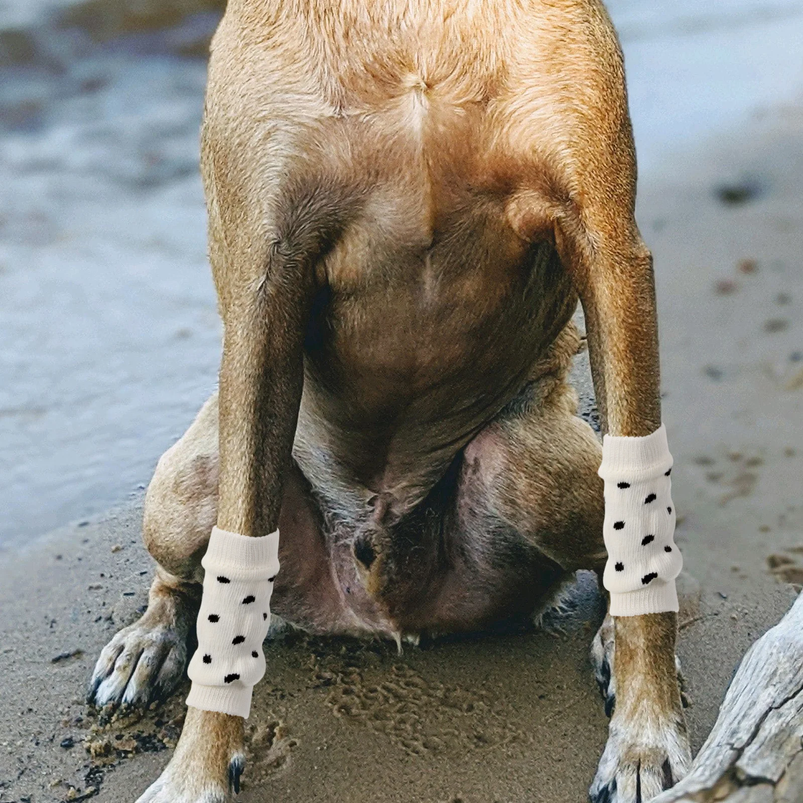 4 قطعة تدفئة ساق الكلب لينة واقيات الساق المرنة للكلاب يحافظ على نظافة الساقين ودافئة مثالية للبشرة الحساسة حامي مفصل الكلب