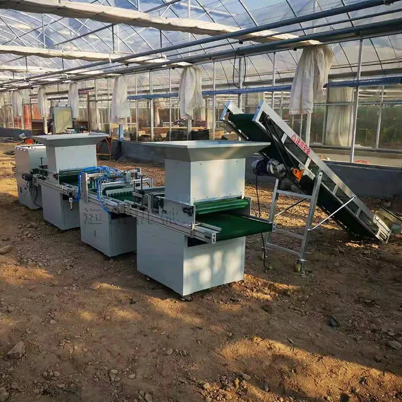 Pumpkin and Watermelon Seedling Planter Seed Tray Seedling Machine Germination Machine Plug Seeder