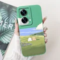 case-c60