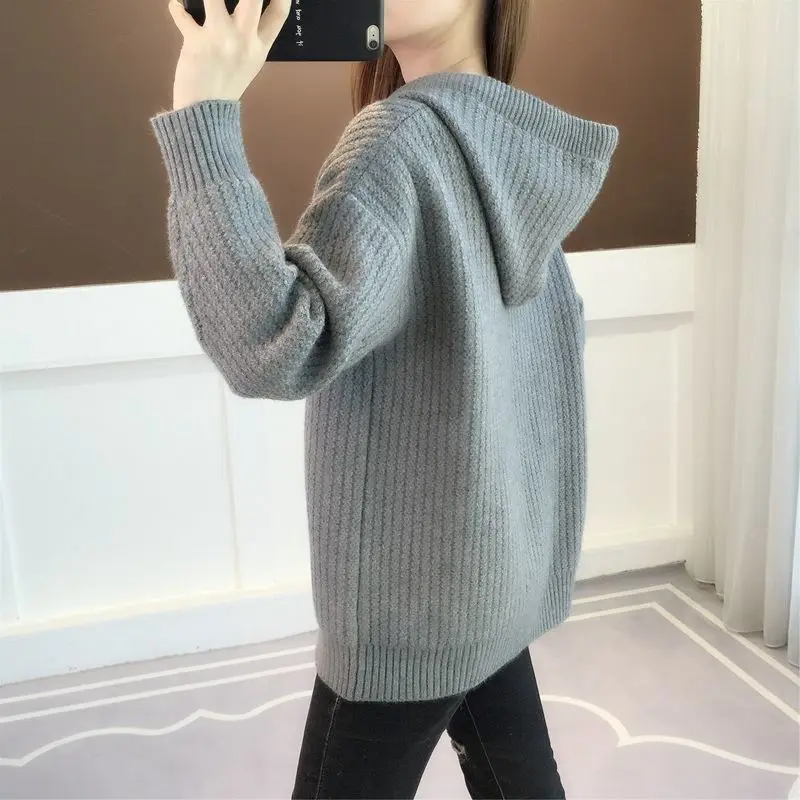 Harajuku Fashion Sweater Thick Hoodies Sweatshirt for Women Y2k Vintage Sport Sweat-shirt Dropshiping Designer Woman Hooded Tops