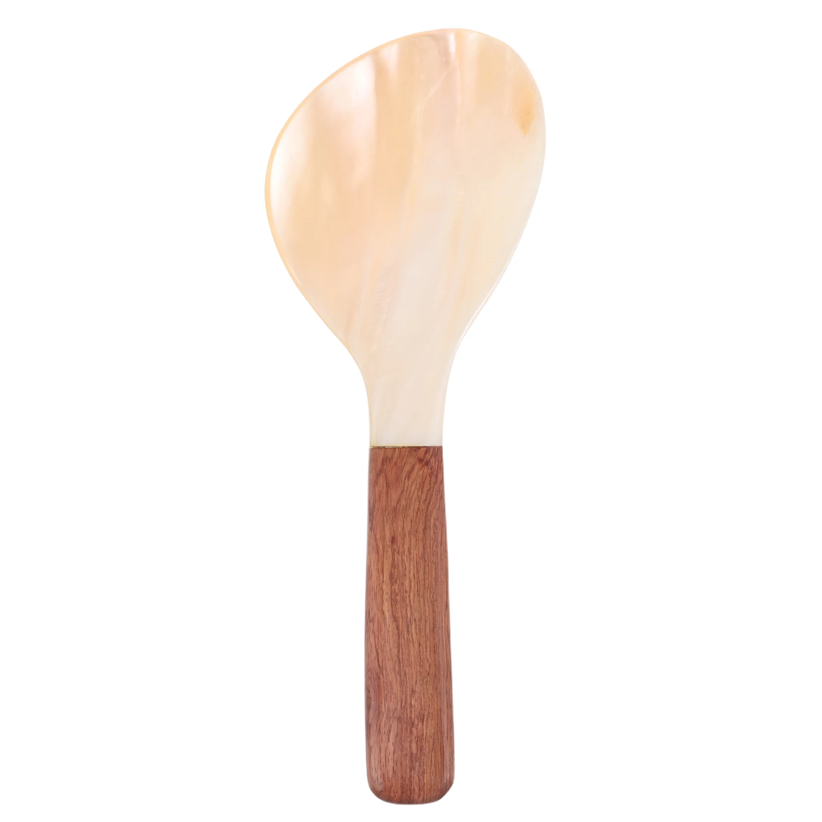 

Nonstick Rice Spoon Paddle Shell Pattern Ergonomic Handle Rice Cooker Scoop Kitchen Serving Utensil Kitchen Scooper
