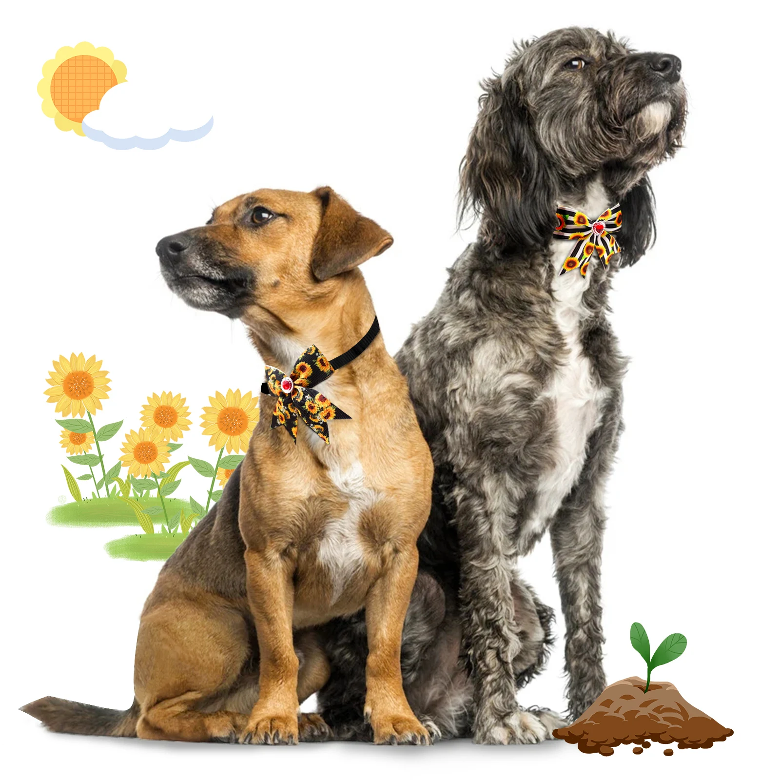 50/100 قطعة الكلب الاستمالة كل - مراجعة Pet Supplies Coupon وسعره