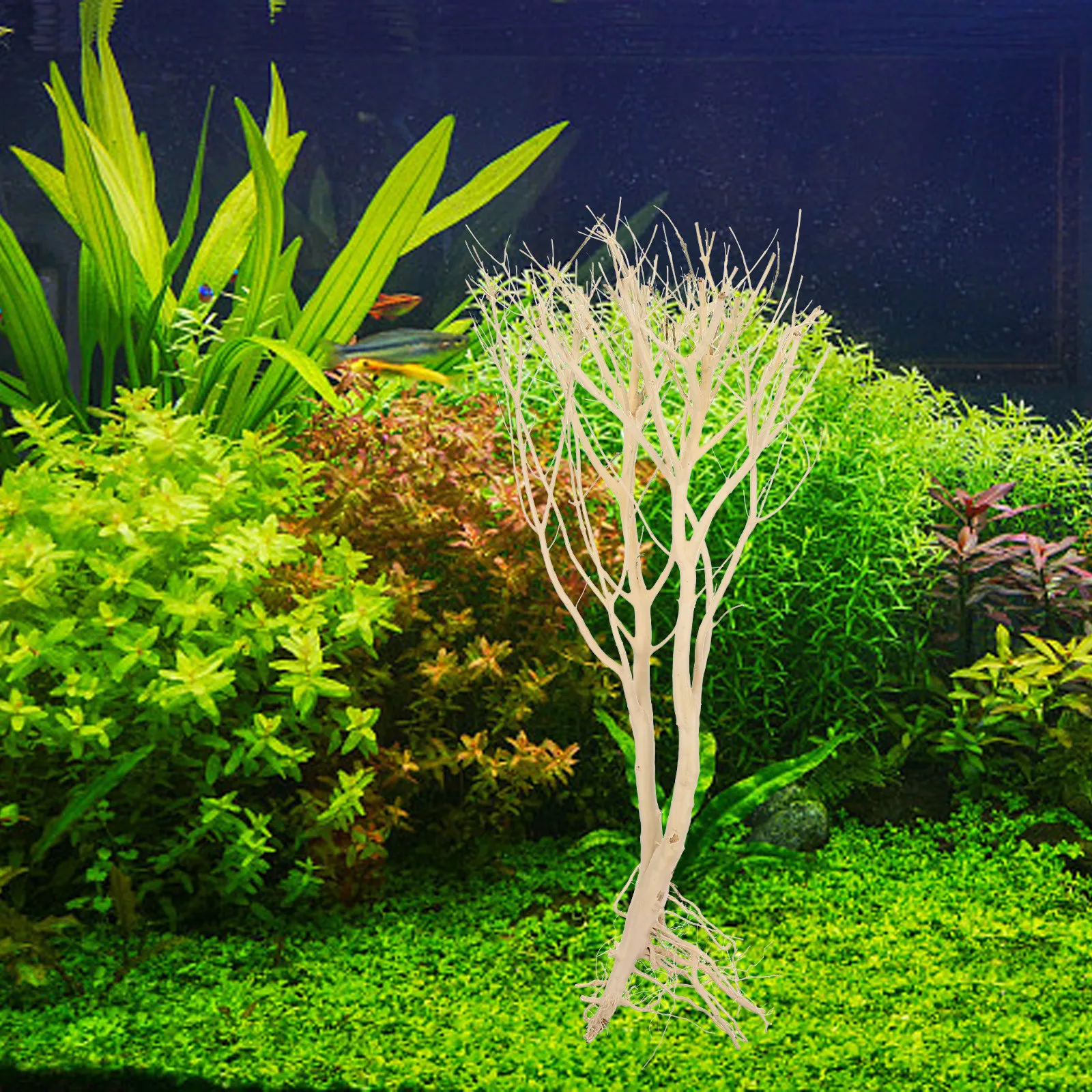 Wood Moss Tree Ornament High-C - Aquarium Planted Wood ulasan dan harga