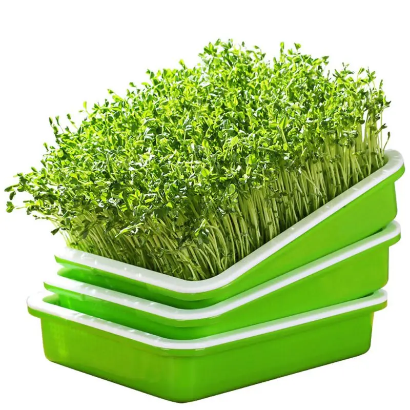 

Seed Sprouter Tray BPA Free PP Soil-Free Large Capacity Healthy Wheatgrass Grower with Cover Seedling Sprout Plate Hydroponic