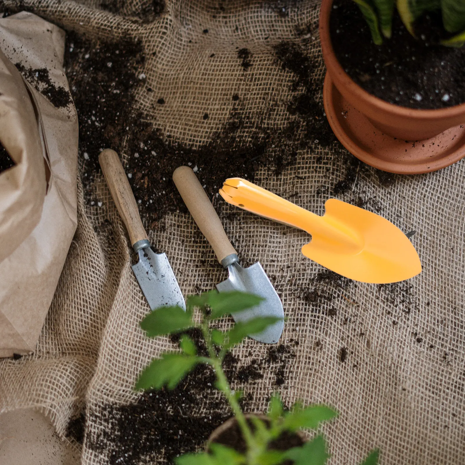 

Набор из 5 ярких мини-лопаток для садоводства, легкие железные инструменты для перекопки почвы в цветочных горшках, для кемпинга и использования на открытом воздухе