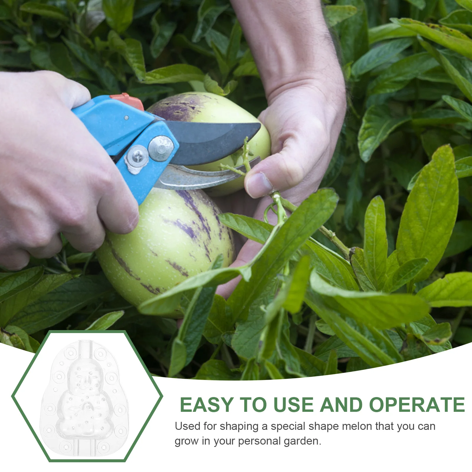 

3pcs Fruit Growing Molds Reusable Clear Shaping Melon Vegetable Diy Mold Transparent Growth Tool For Gardening Lovers Farm
