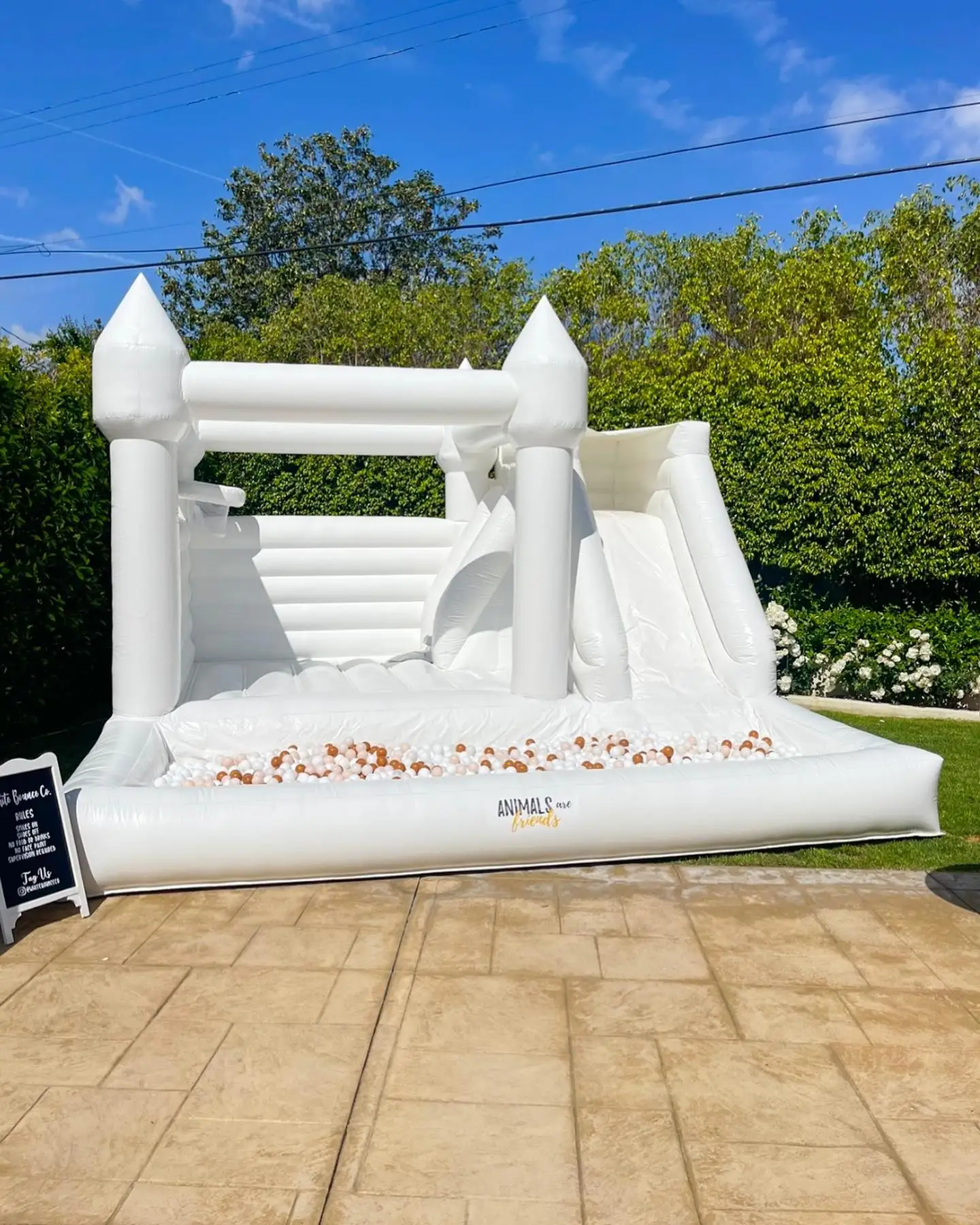 Inflável White Bounce House, Jumper ao ar livre, Bouncer adulto, Castelo de PVC, Ball Pit para festa, Combo Slide, 15ft