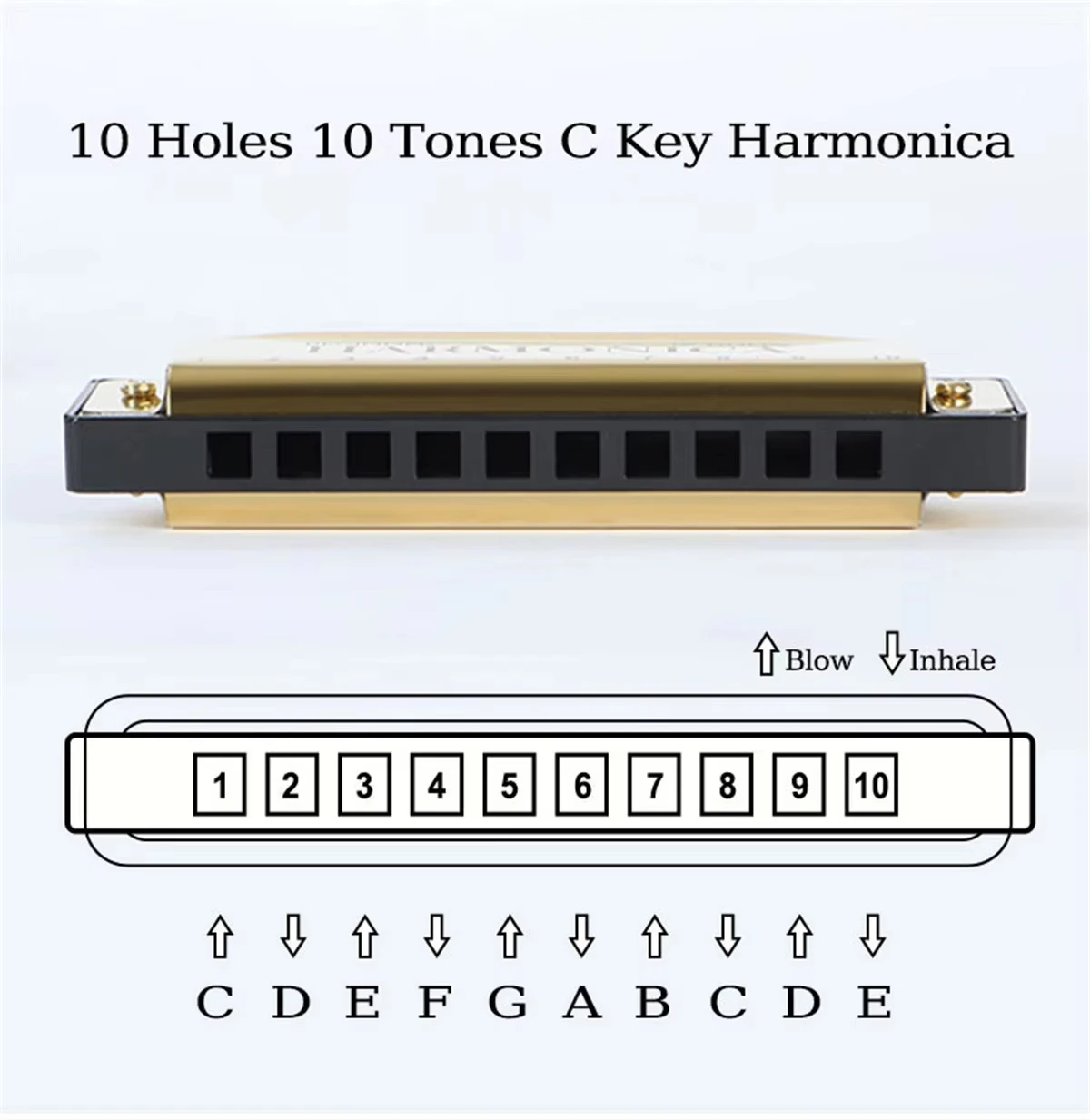 Harmonica 10 Holes Diatonic Key of C Blues Harp Mouth Organ Musical Instrument for Beginners Kids Adults with Storage Case
