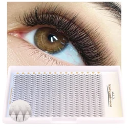 Spitze Basis Vorgefertigte Volumenfächer 3D 4D 5D 6D 8D 10D 12D Russische individuelle Wimpernverlängerung Dünne Basis Vorgefertigte Fächer Make-up Cilios