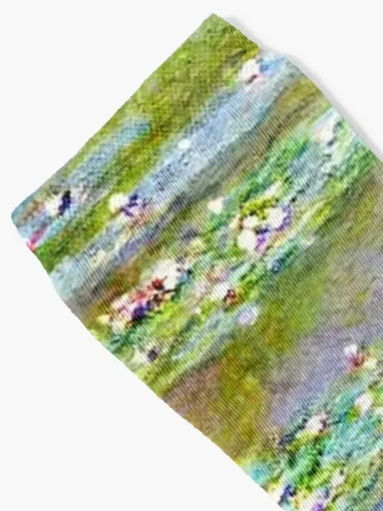 Claude Monet | The Water Garden at Giverny - Le Jardin d'eau de Giverny Socks ankle custom sports summer Men Socks Women's