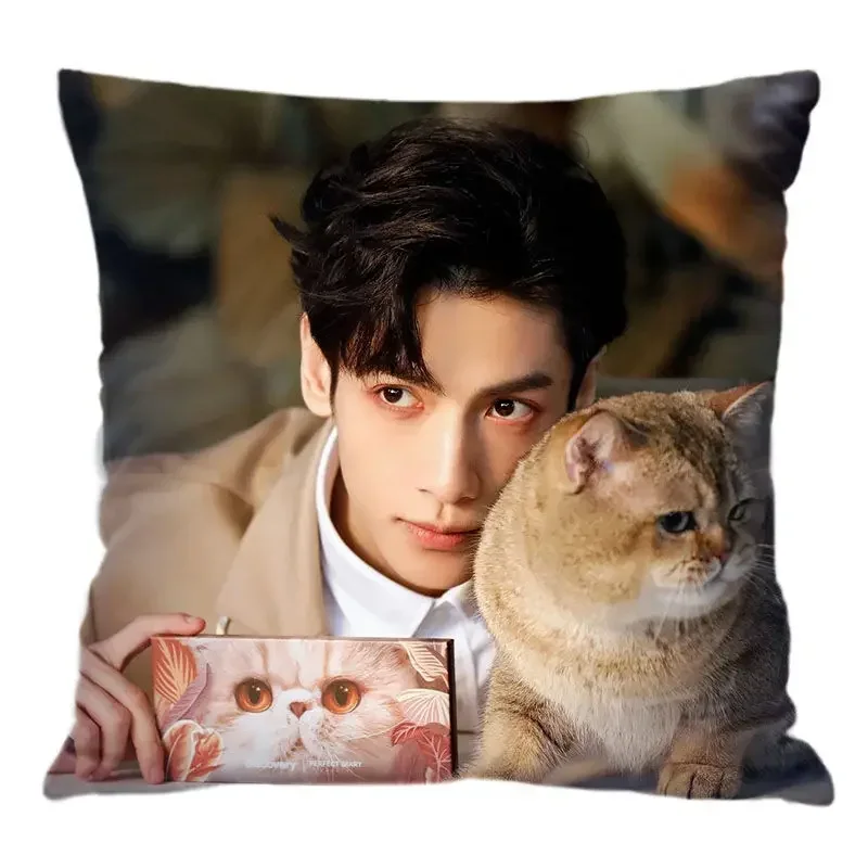 Luo Yunxi Pillowcase Pretty Scholar Same Paragraph Star Photo Poster Cushion Cover Surrounding Souvenir Pillow Covers Decorative