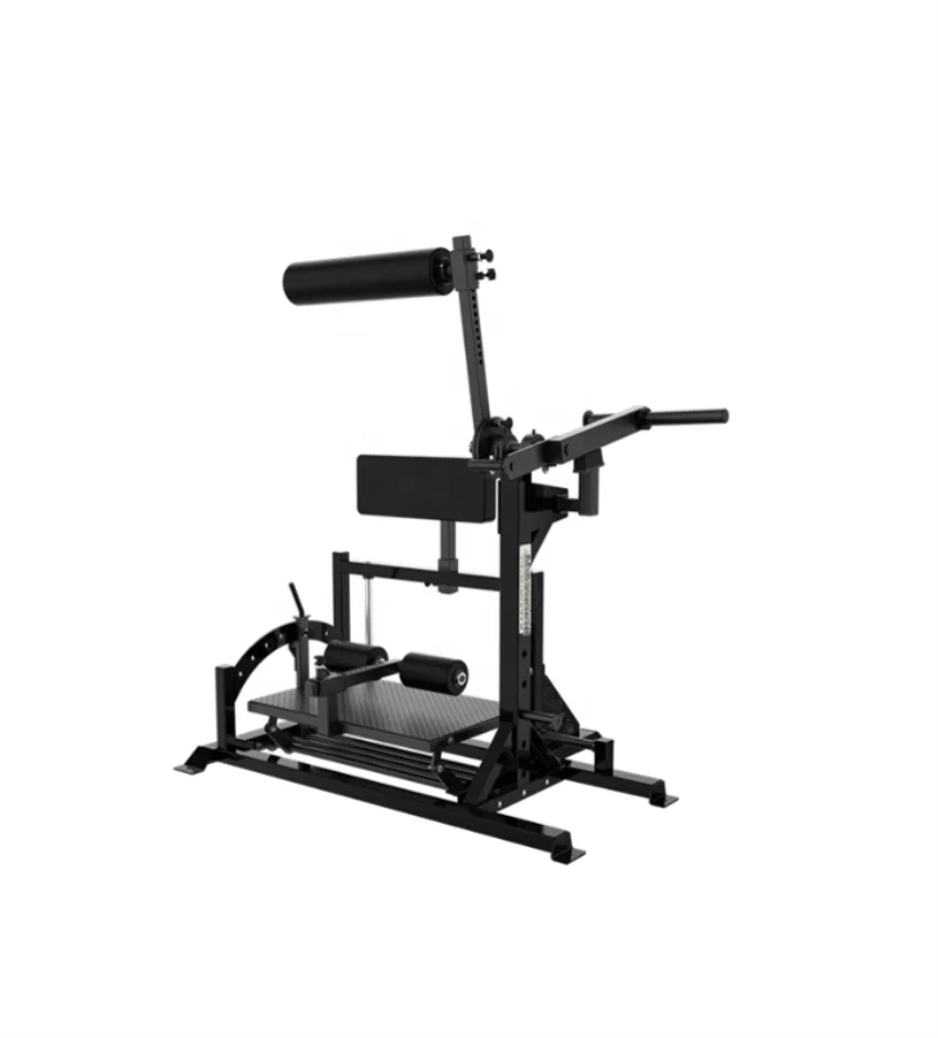 Commercial Plate Loaded Inverse Curl Machine Posterior Chain Developer Back Trainer 2025