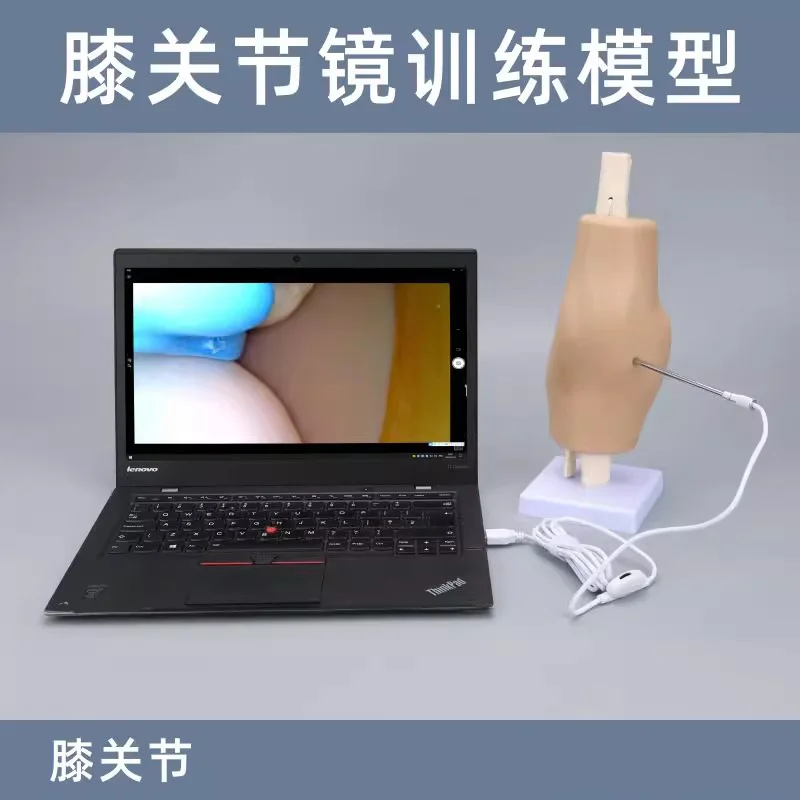 Human knee joint simulation training exercise model 30-degree adjustable focus arthroscope