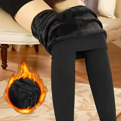 Plush Lined Tights, Opaque High Waist Thermal Elastic Leggings, Women's Stockings & Hosiery