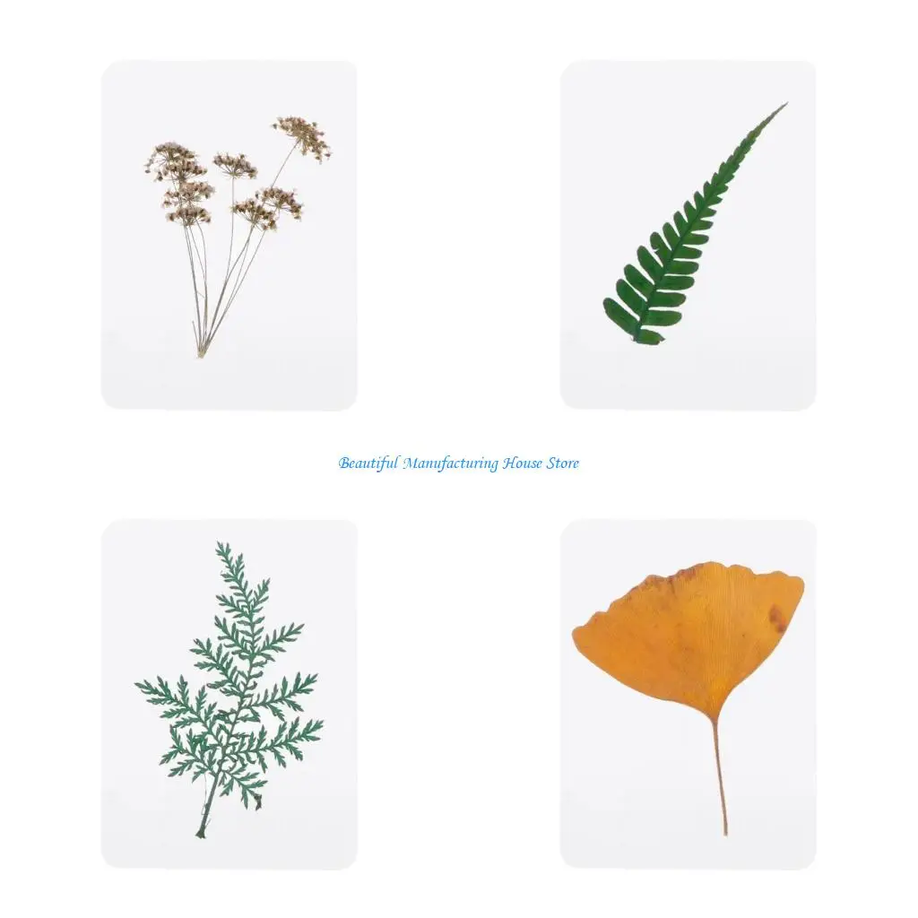 

E56A Natural Dried Flowers and Leaves Plant Fillers for Resin Jewelry Pendant Bracelet Scrapbooking DIY Arts Cards