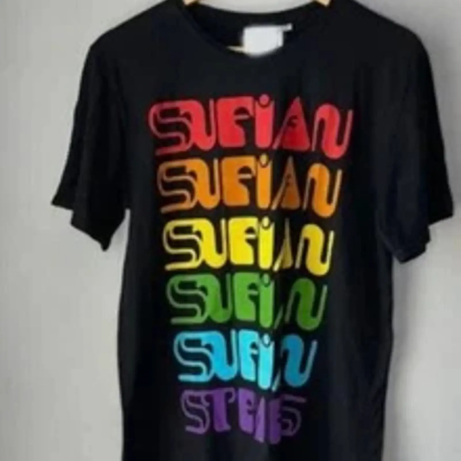 T-shirt Sufjan Stevens Pride unisexe, réimprimé, vintage, lavé, doux, respirant, décontracté, confortable, élégant, légèrement stylé