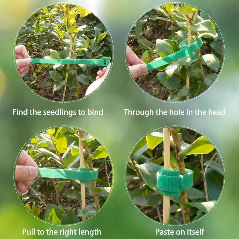 T-Shaped Straight Strip Plant Fixing Clips Green Dill Climbing Vine Binding Support Garden Plant Fastener